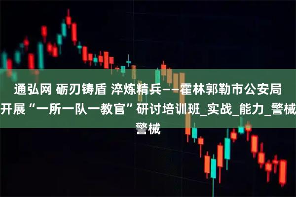 通弘网 砺刃铸盾 淬炼精兵——霍林郭勒市公安局开展“一所一队一教官”研讨培训班_实战_能力_警械