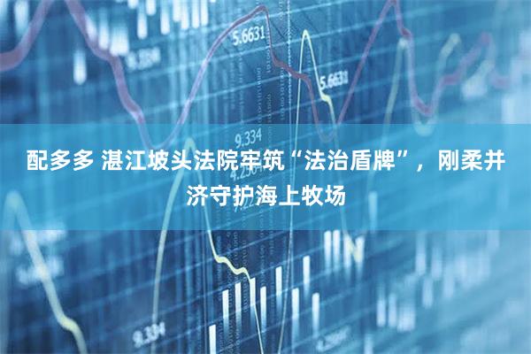 配多多 湛江坡头法院牢筑“法治盾牌”，刚柔并济守护海上牧场